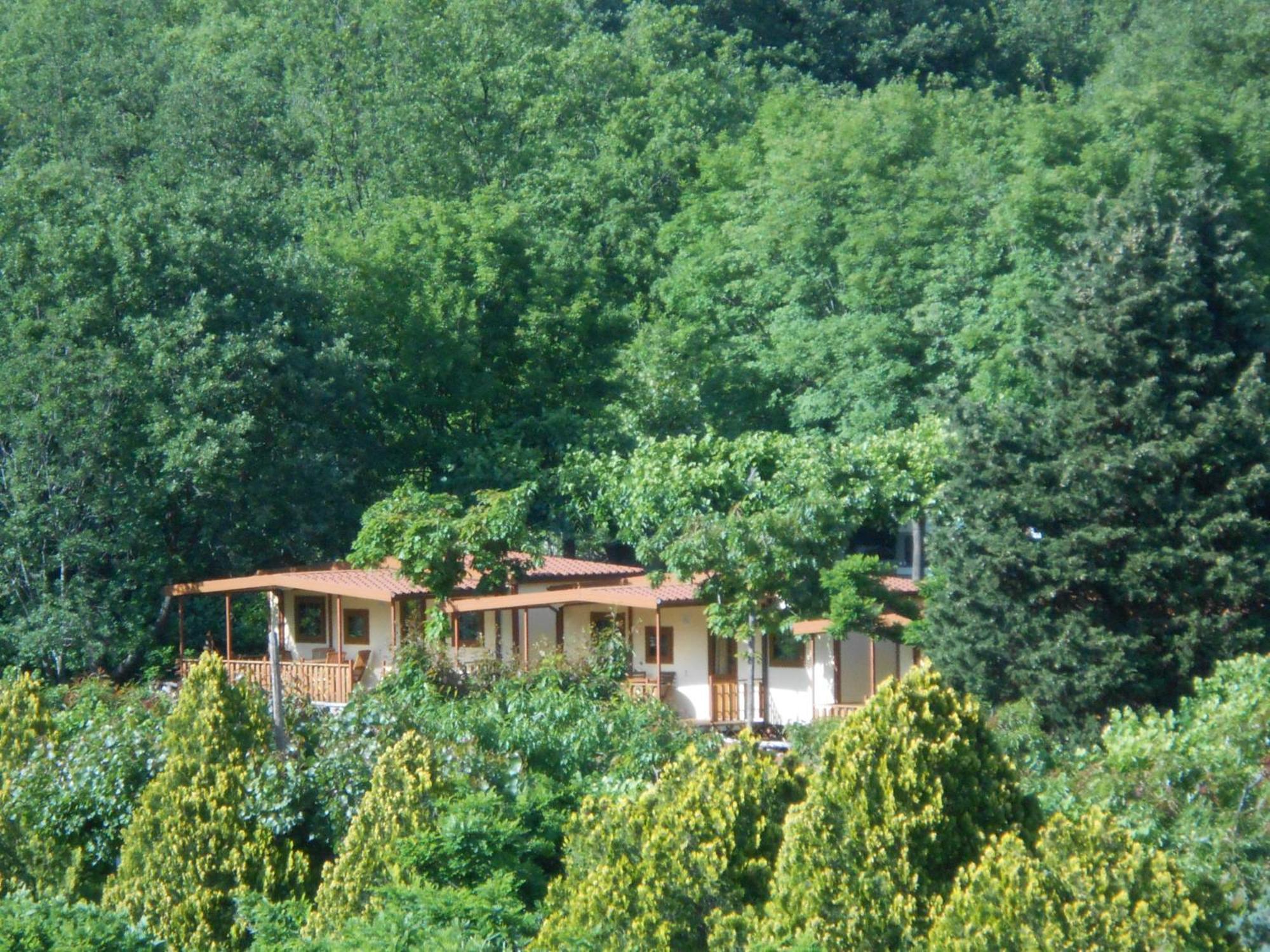 Campeggio Pian Dei Boschi 皮特拉利古 外观 照片
